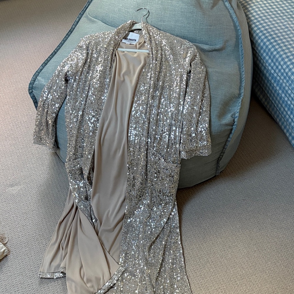 BB Dakota Silver Sequin Cardigan